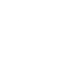Suspension